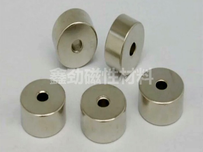 Ring magnet