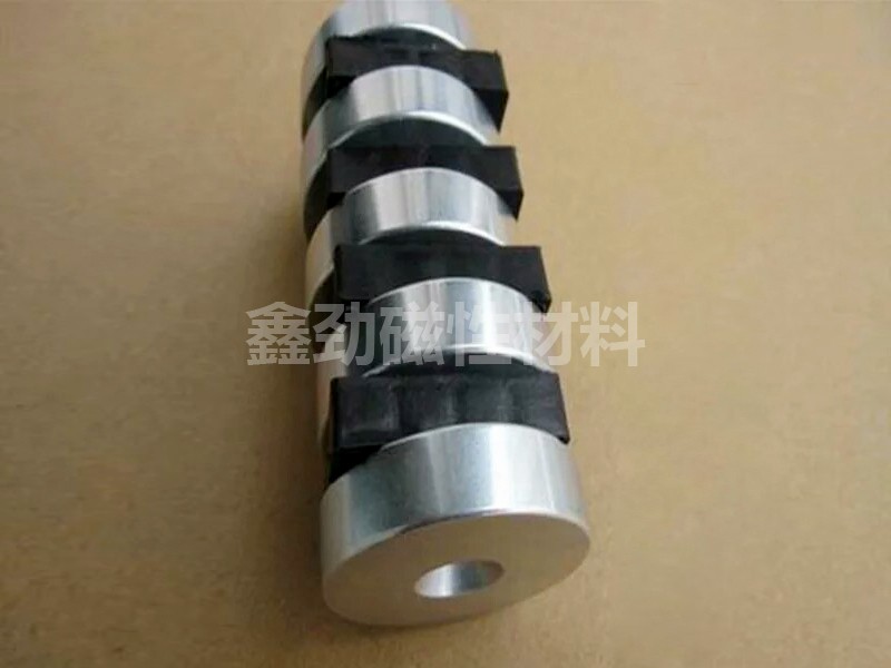 Ring magnet