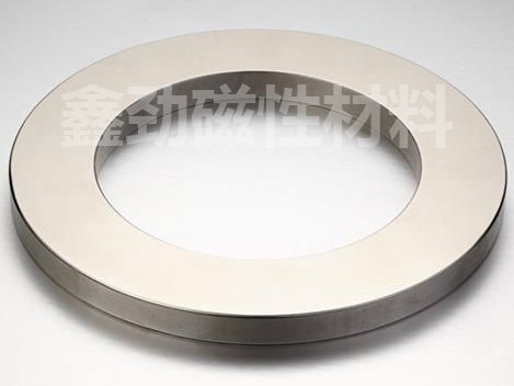 Ring magnet
