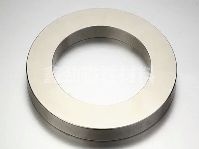 Ring magnet