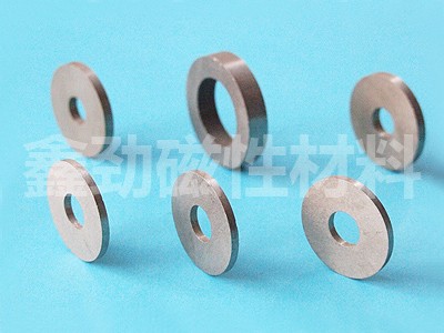 Ring magnet