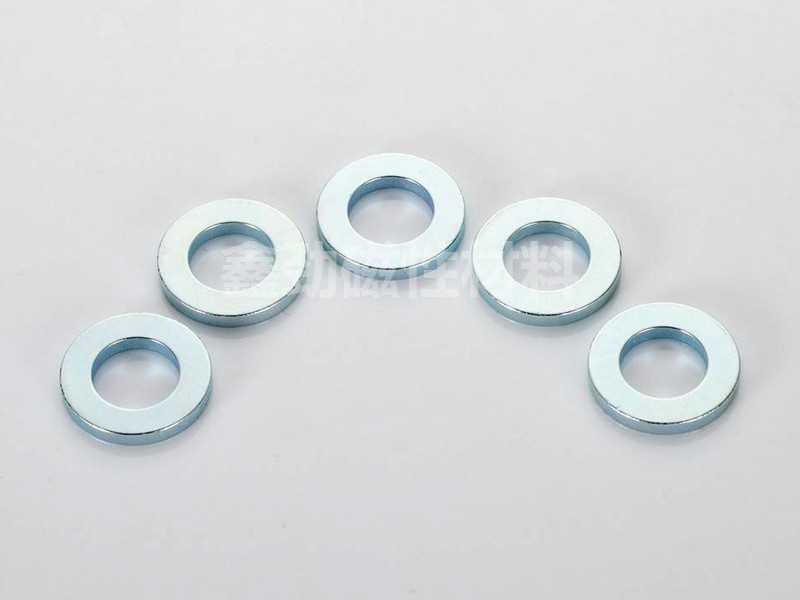 Ring magnet